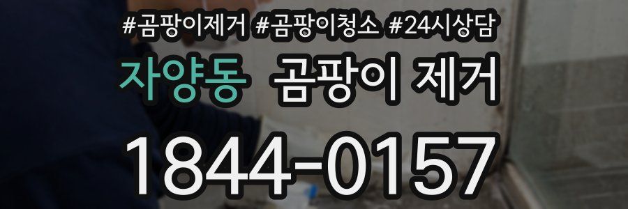 자양동 곰팡이 제거