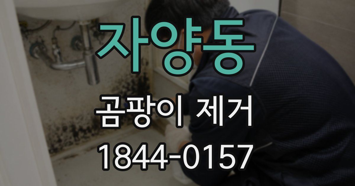자양동 곰팡이 제거
