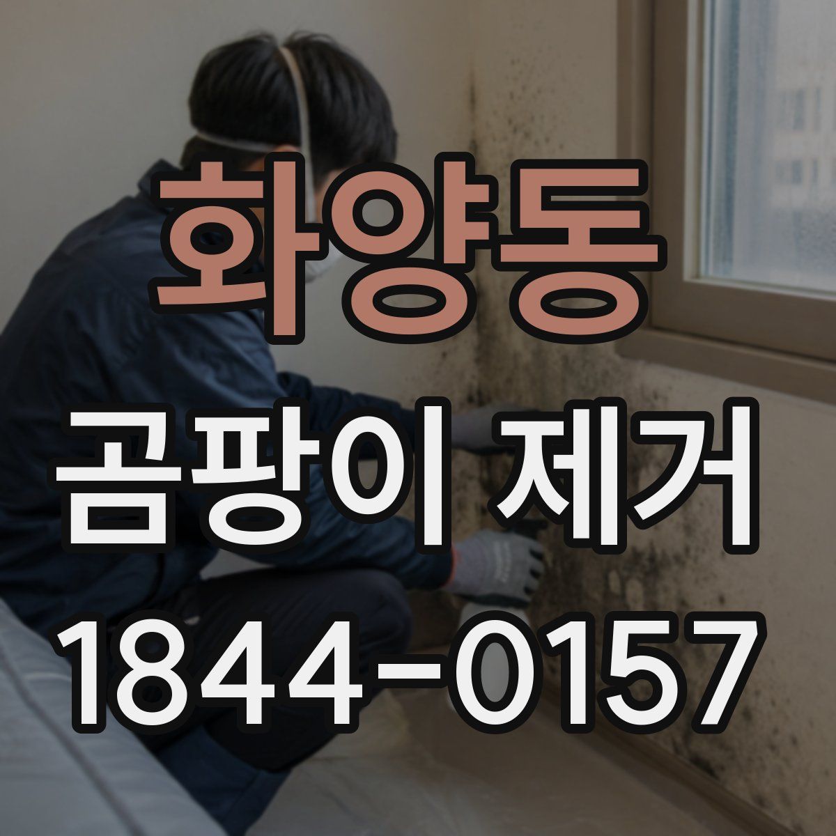 화양동 곰팡이 제거