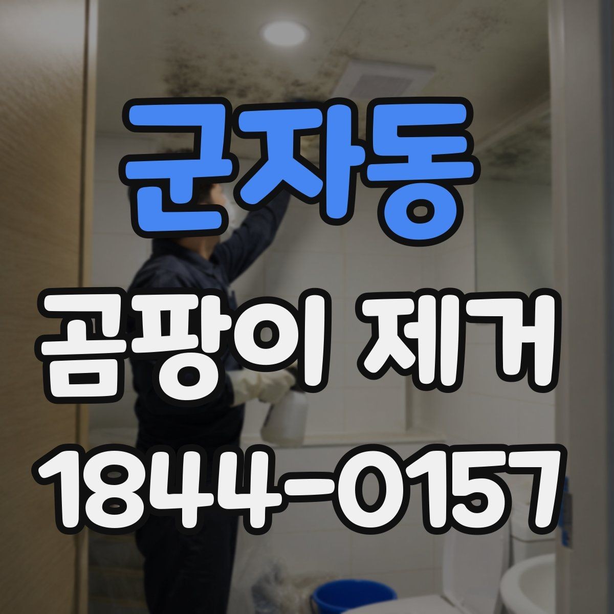 군자동 곰팡이 제거 오피스텔 좁은 공간 환기 동선 정리