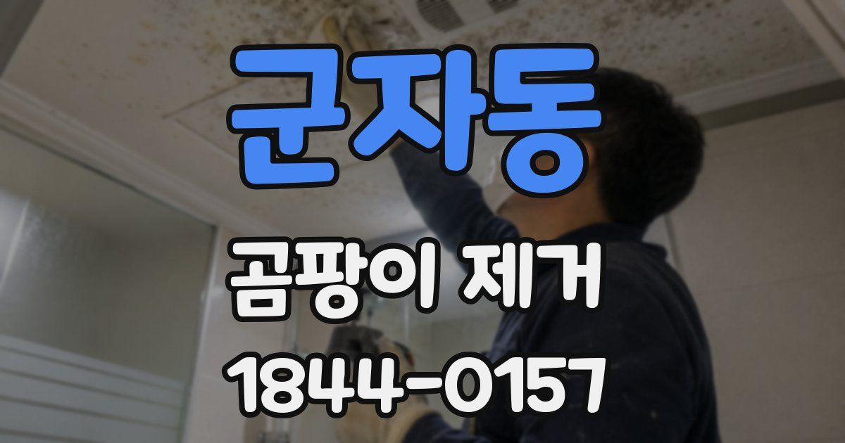 군자동 곰팡이 제거