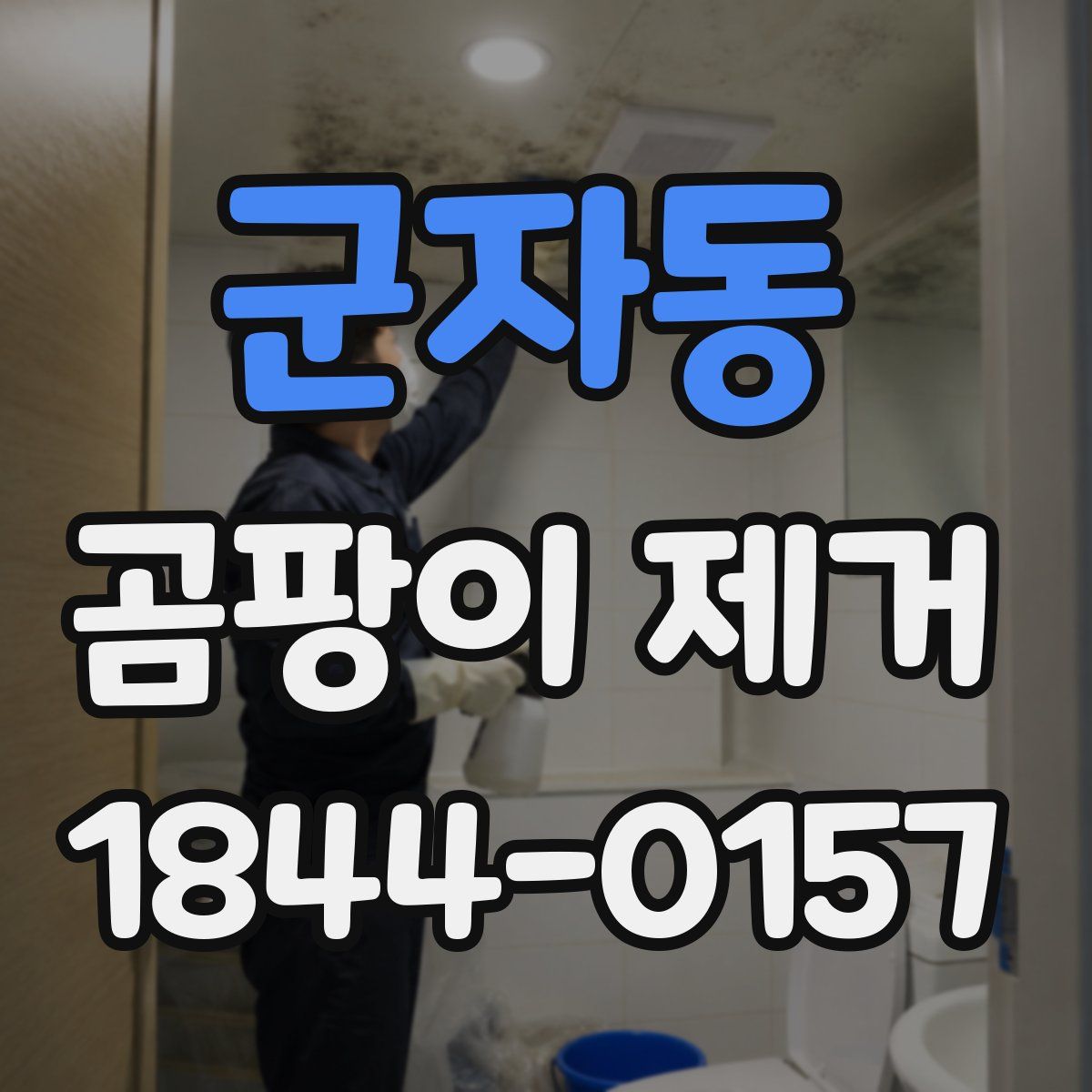 군자동 곰팡이 제거