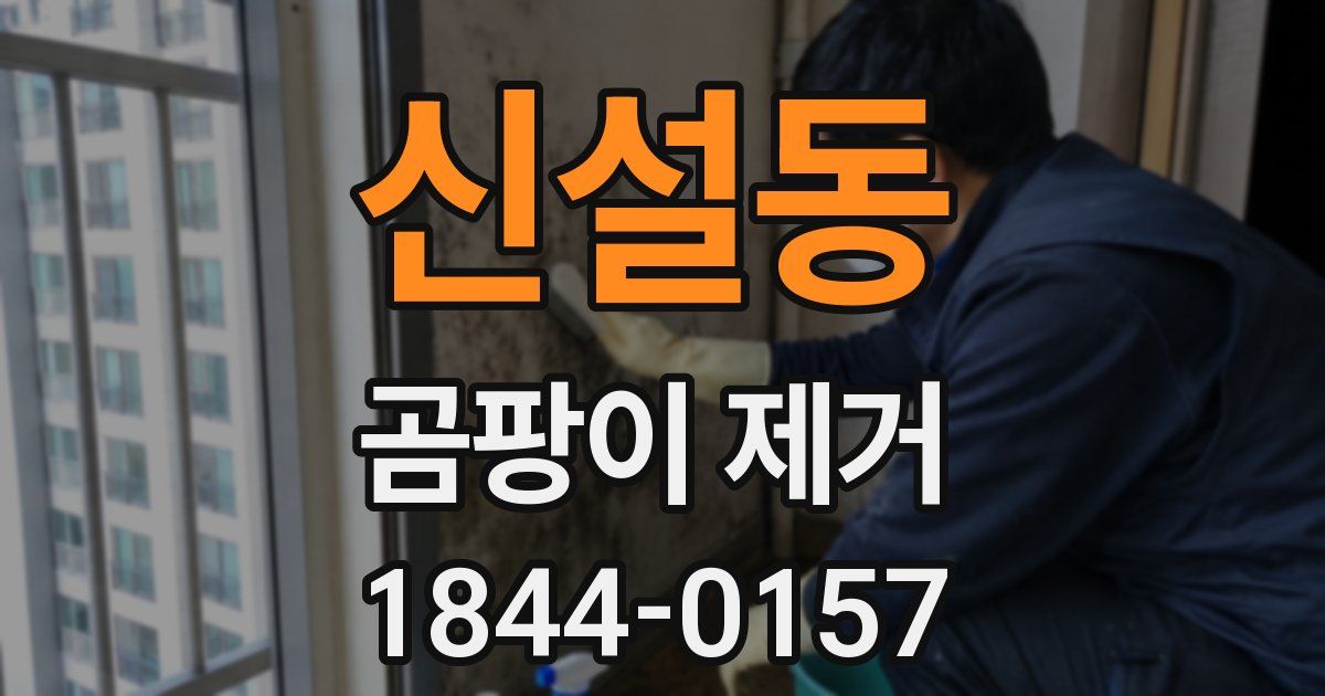 신설동 곰팡이 제거
