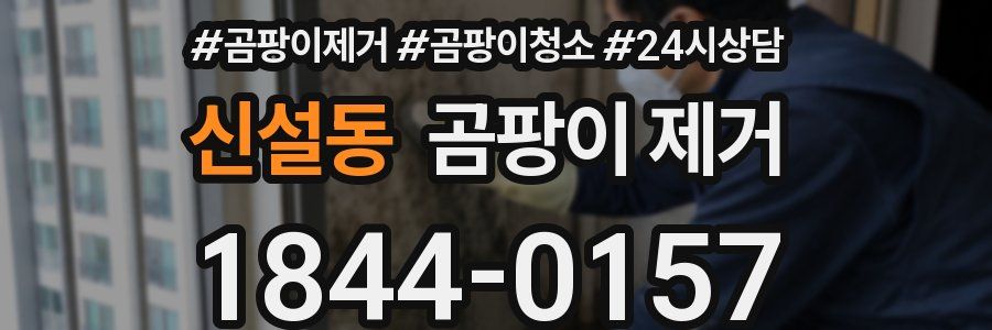 신설동 곰팡이 제거