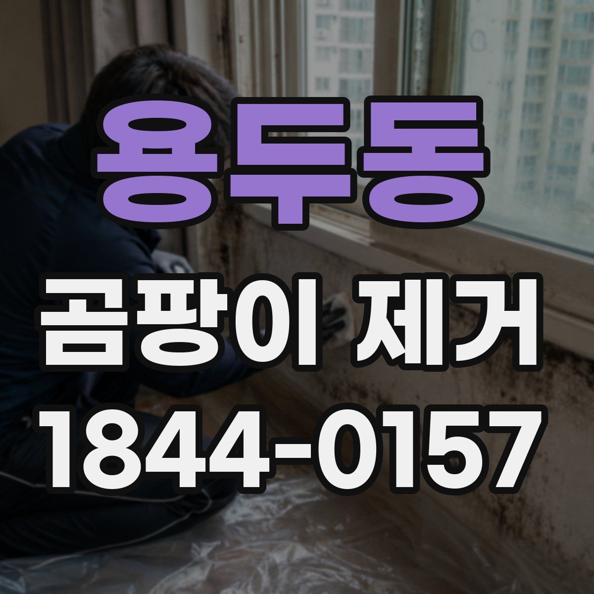 용두동 곰팡이 제거