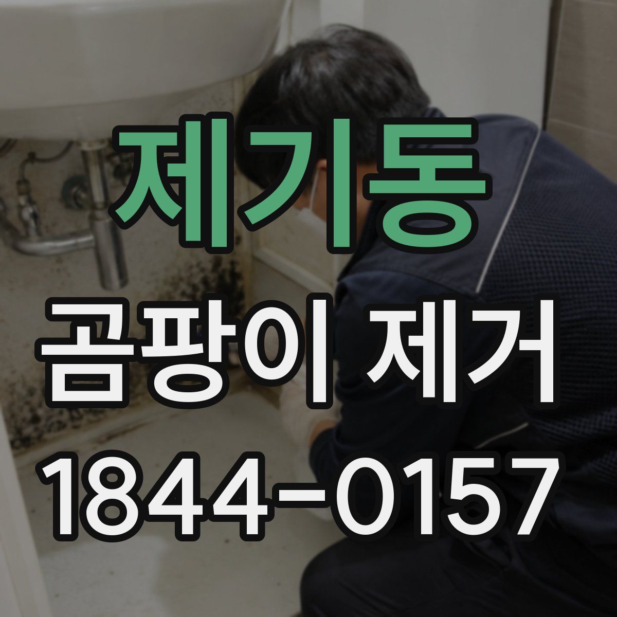 제기동 곰팡이 제거
