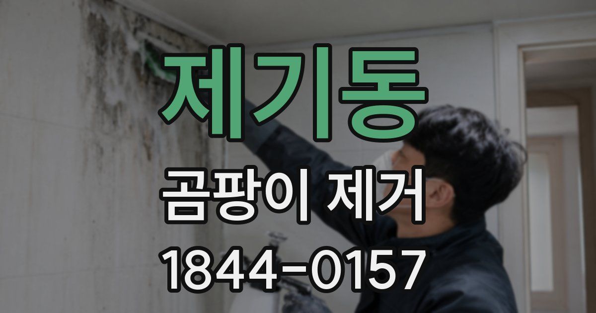 제기동 곰팡이 제거