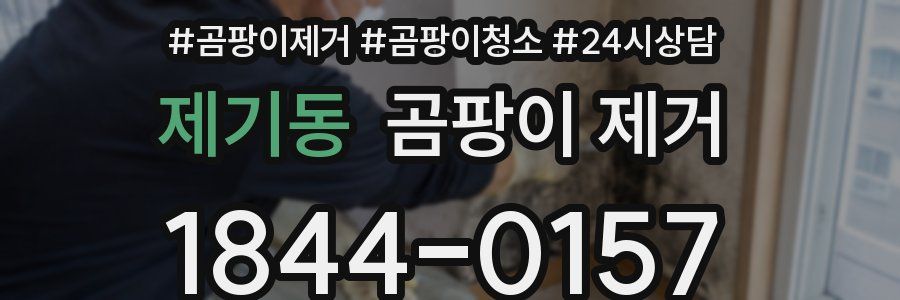 제기동 곰팡이 제거