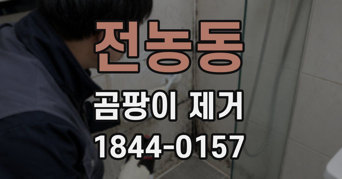 전농동 곰팡이 제거