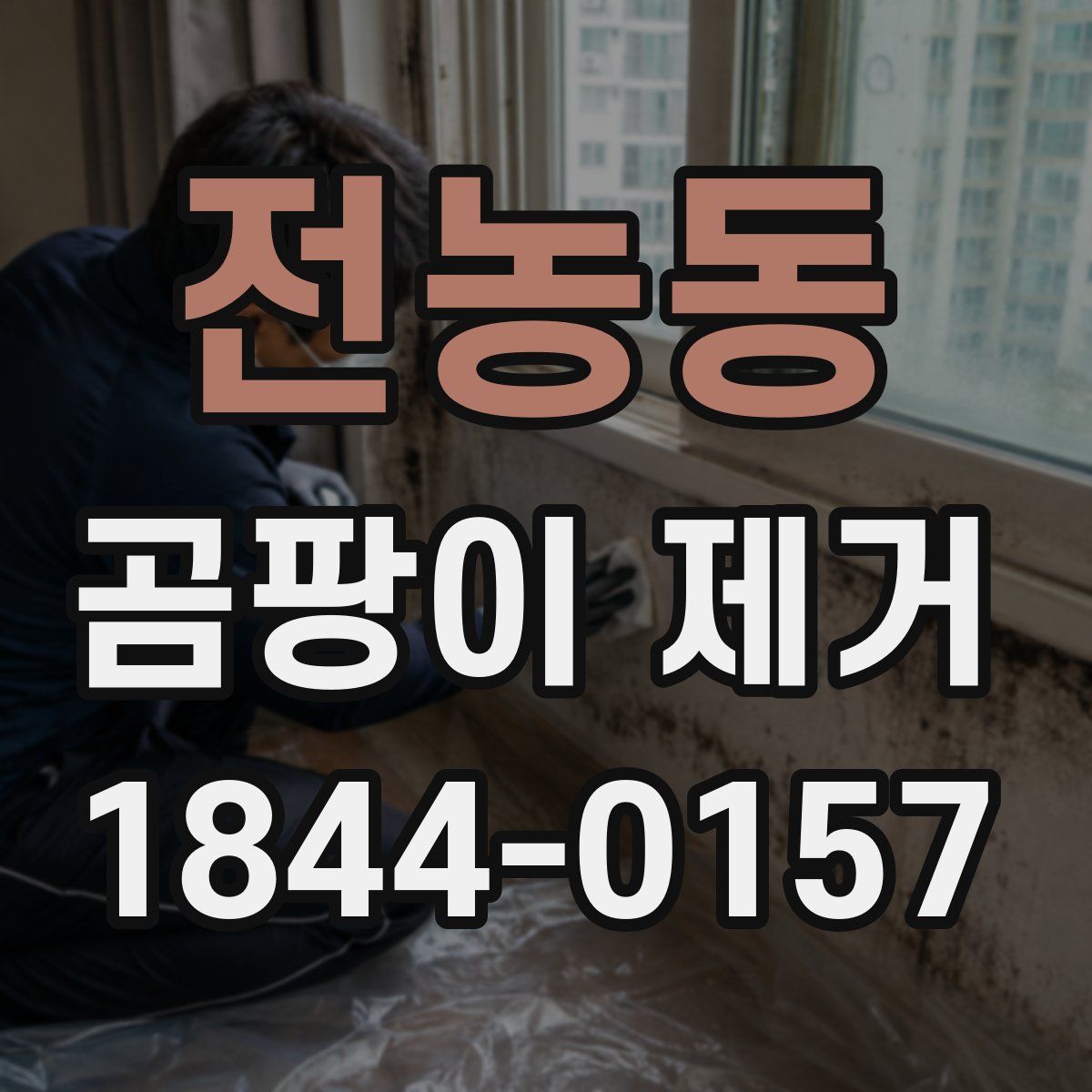 전농동 곰팡이 제거