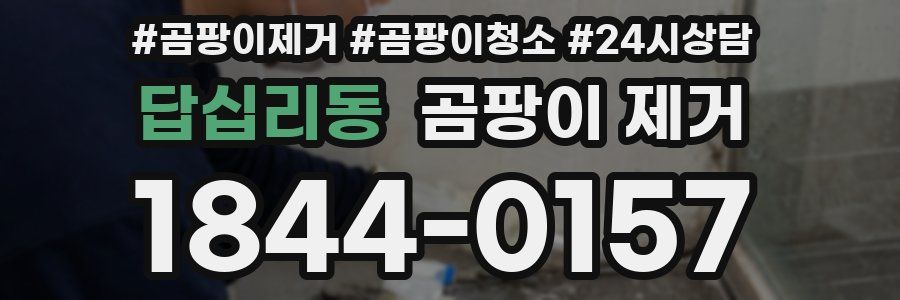 답십리동 곰팡이 제거