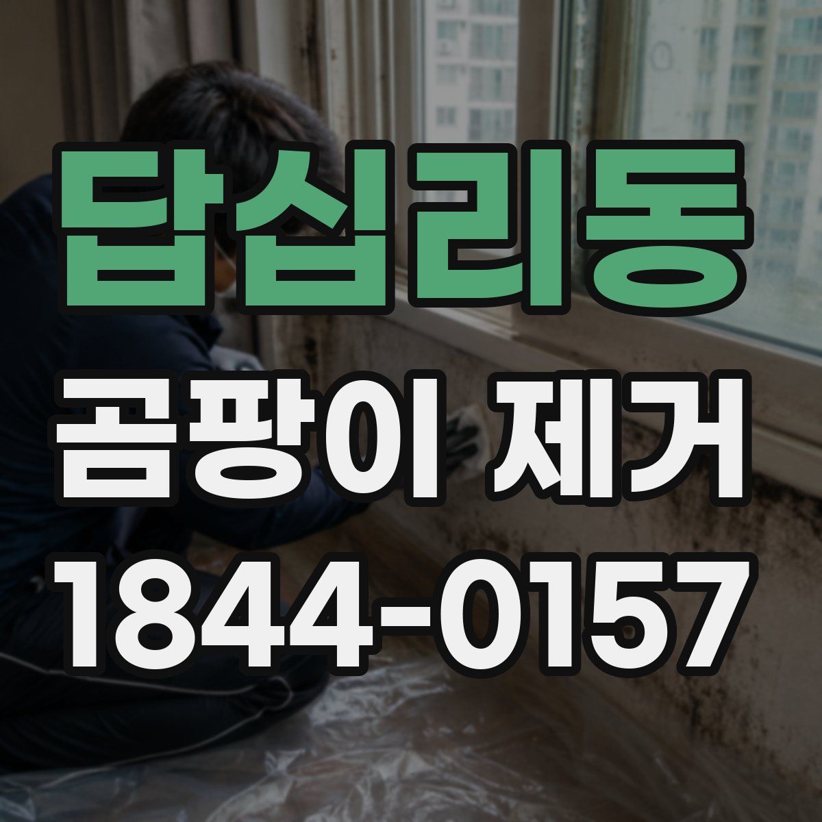 답십리동 곰팡이 제거