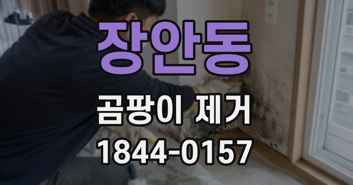 장안동 곰팡이 제거