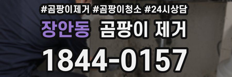 장안동 곰팡이 제거