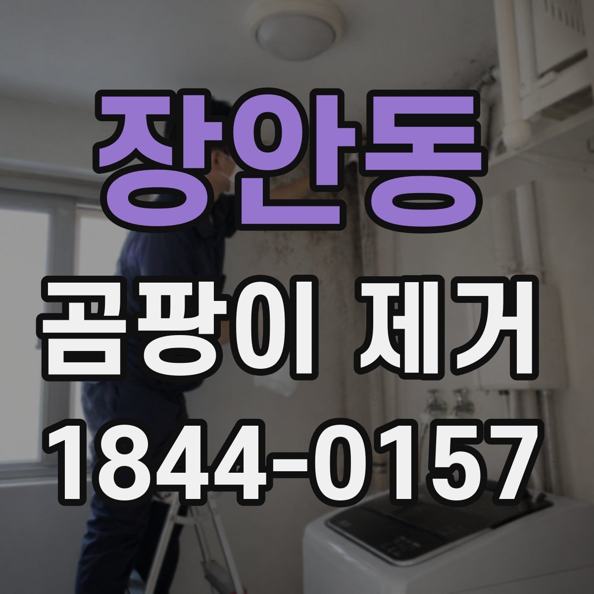 장안동 곰팡이 제거