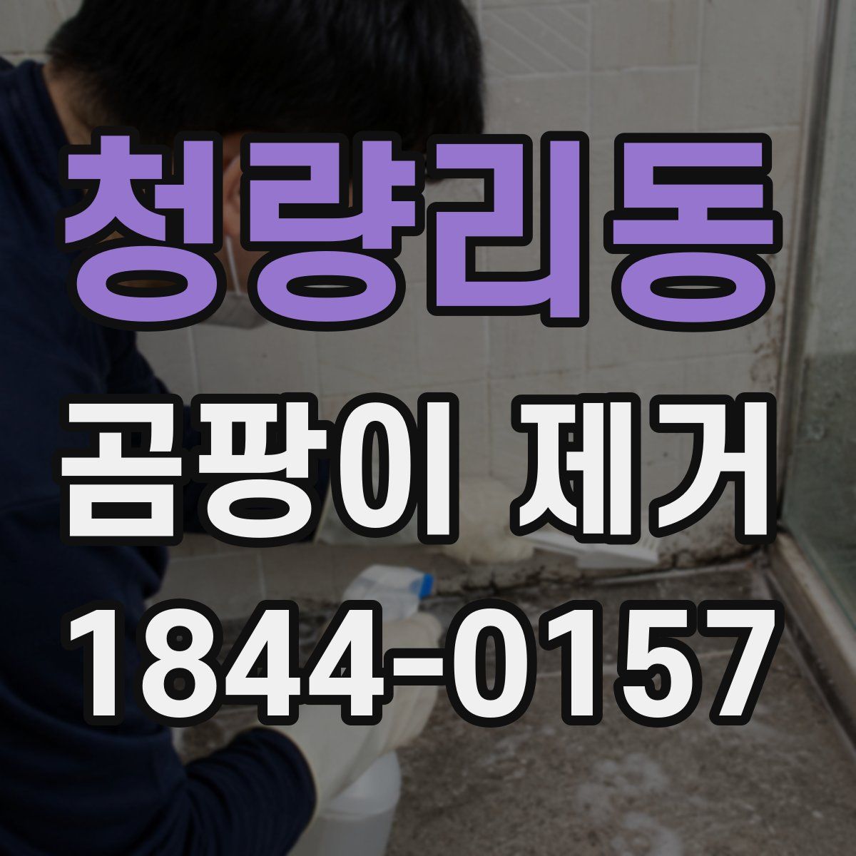 청량리동 곰팡이 제거
