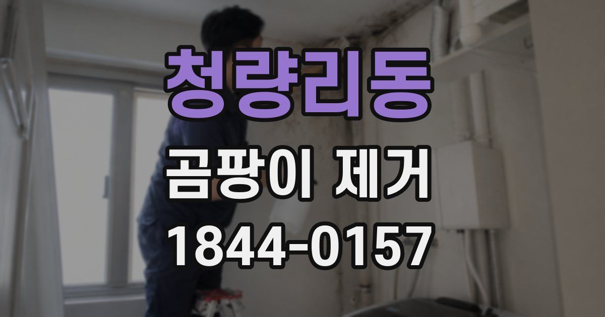 청량리동 곰팡이 제거