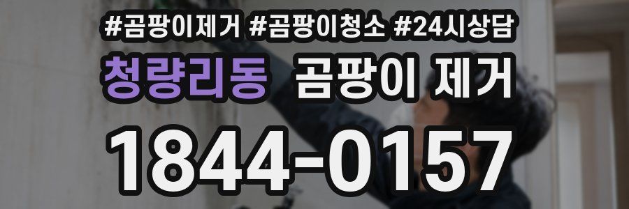 청량리동 곰팡이 제거
