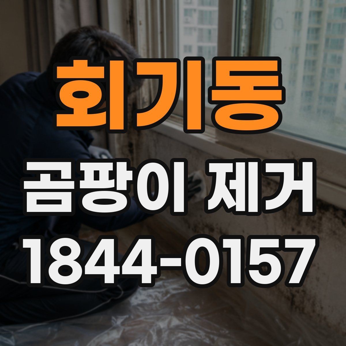 회기동 곰팡이 제거 욕실 인접 벽면을 다룰 때 주의할 점