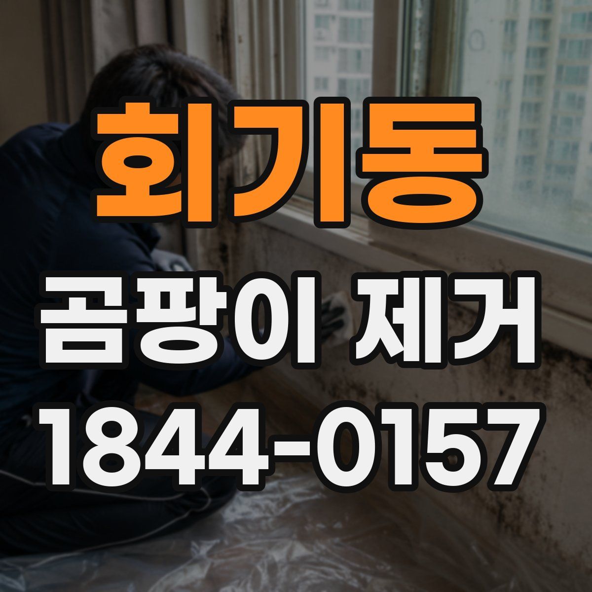 회기동 곰팡이 제거