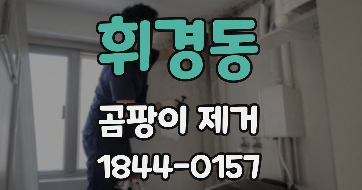 휘경동 곰팡이 제거
