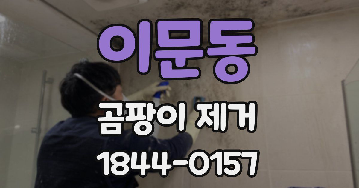 이문동 곰팡이 제거