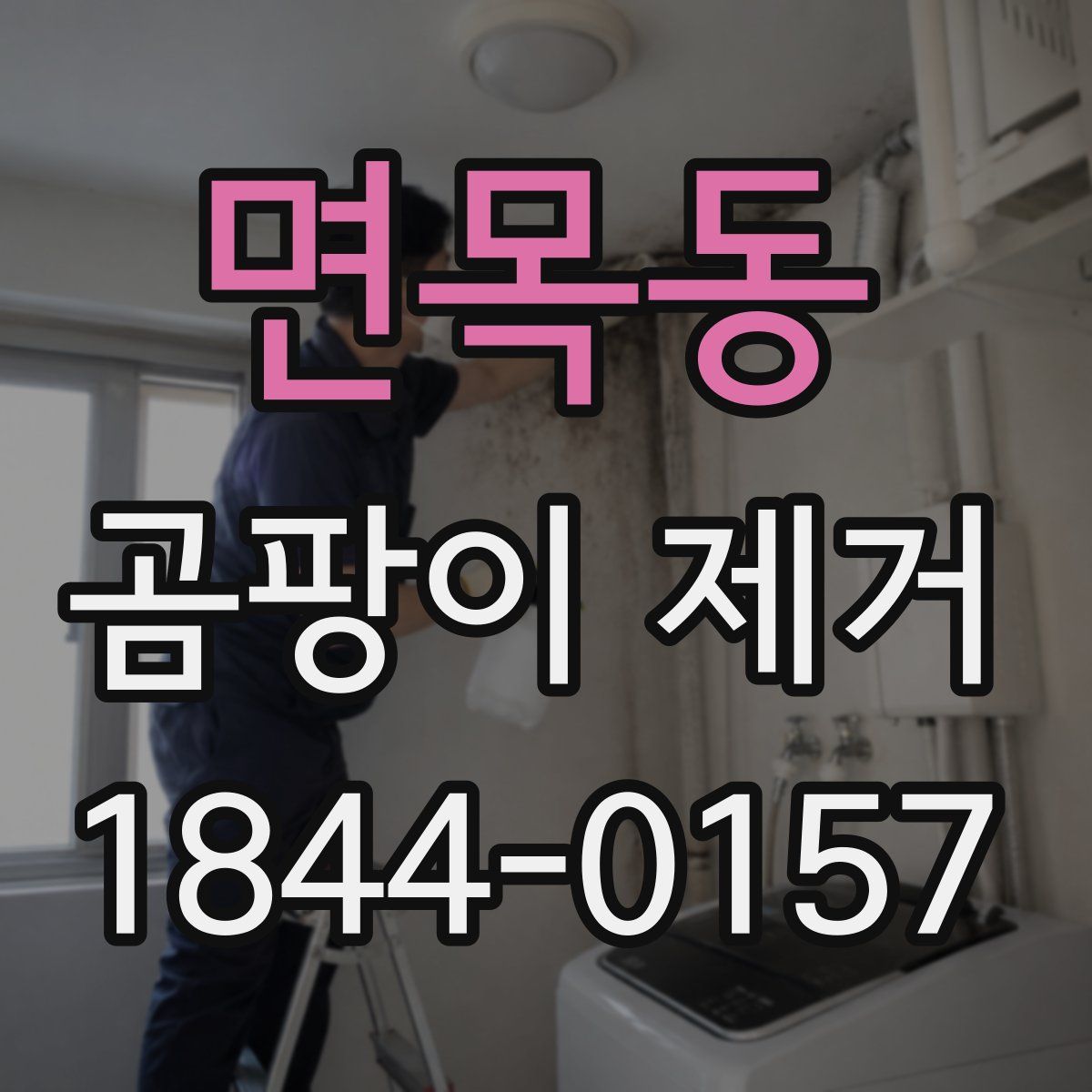 면목동 곰팡이 제거