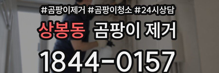 상봉동 곰팡이 제거