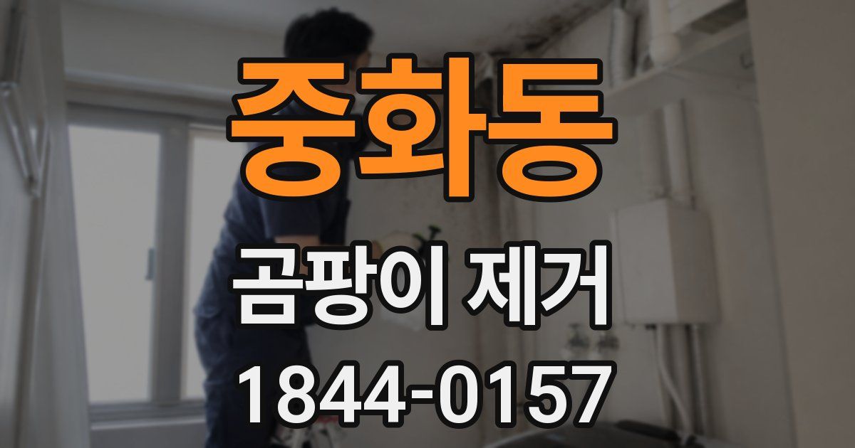 중화동 곰팡이 제거