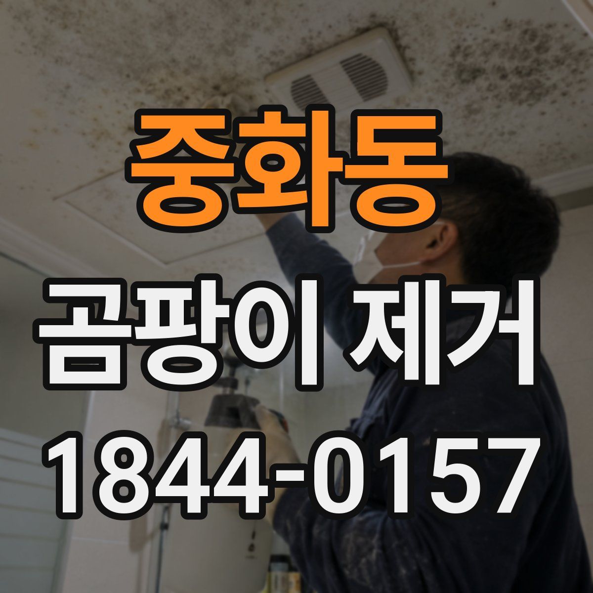 중화동 곰팡이 제거