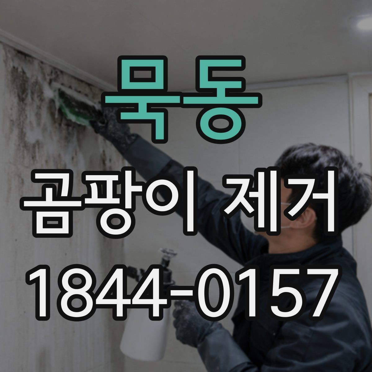 묵동 곰팡이 제거 습도가 높을 때 나타나는 흔적과 패턴