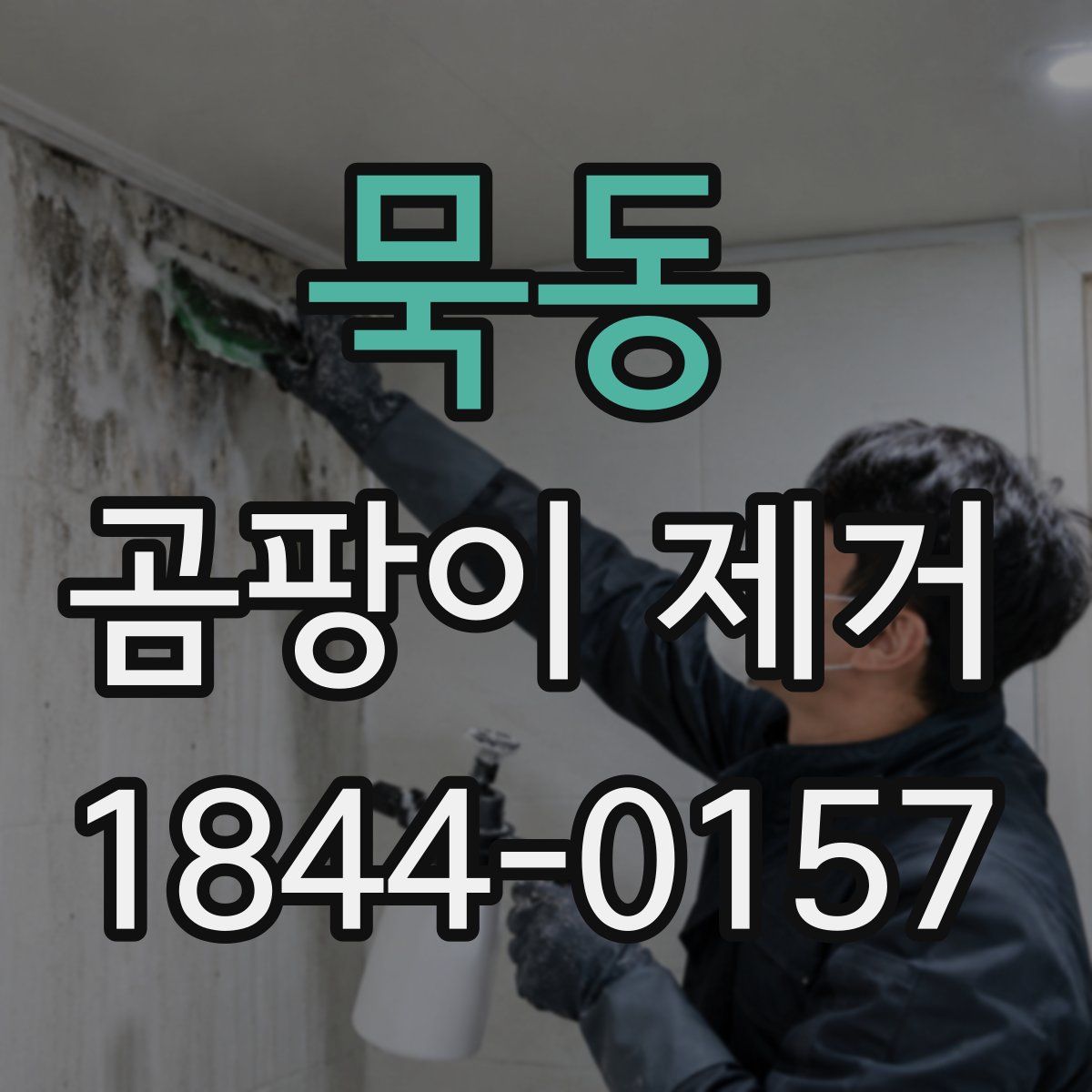 묵동 곰팡이 제거