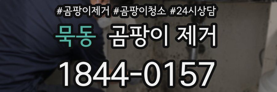 묵동 곰팡이 제거