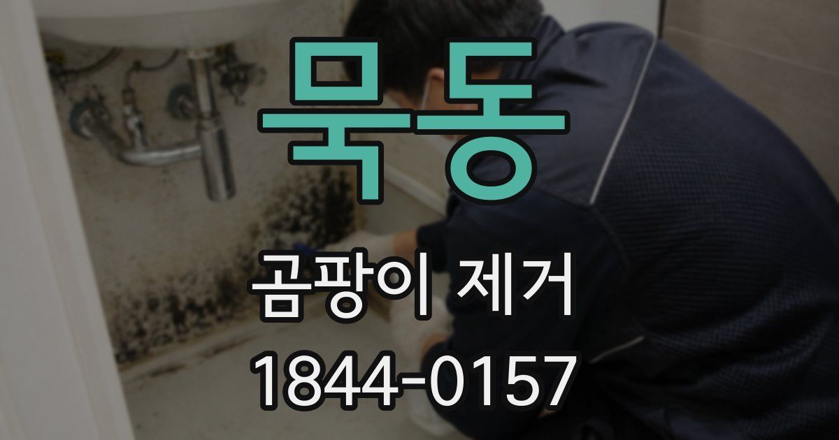 묵동 곰팡이 제거