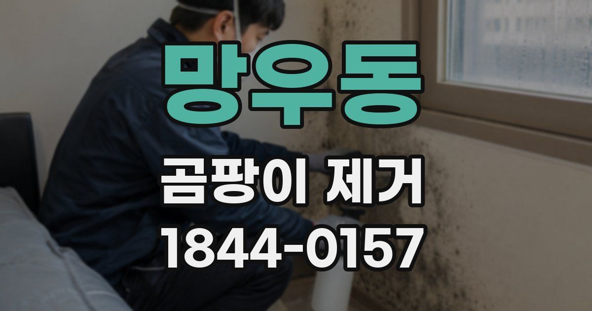 망우동 곰팡이 제거