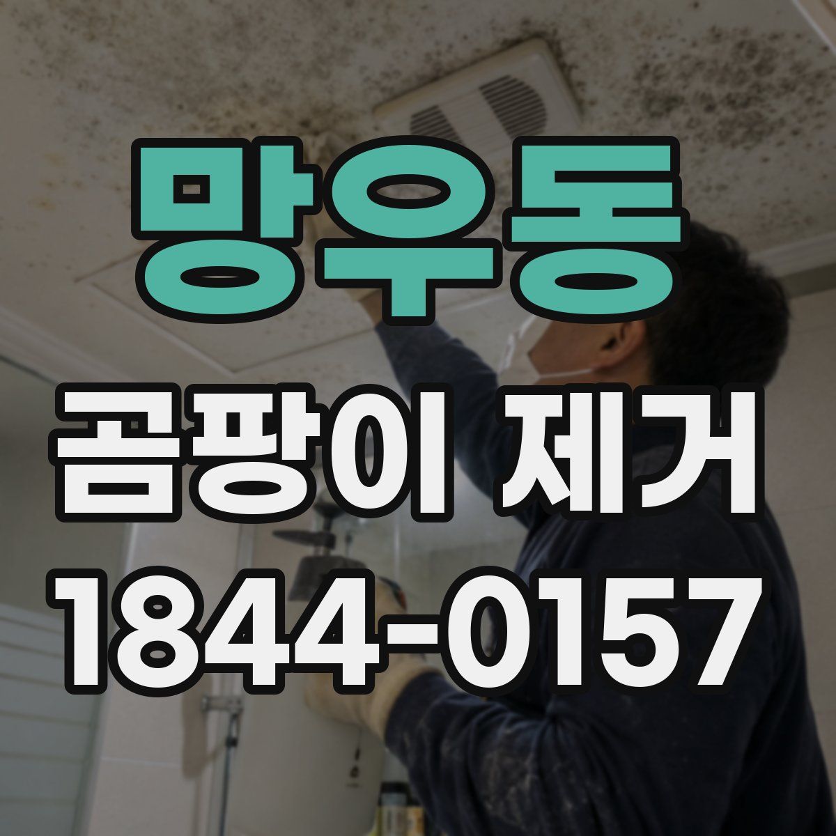 망우동 곰팡이 제거