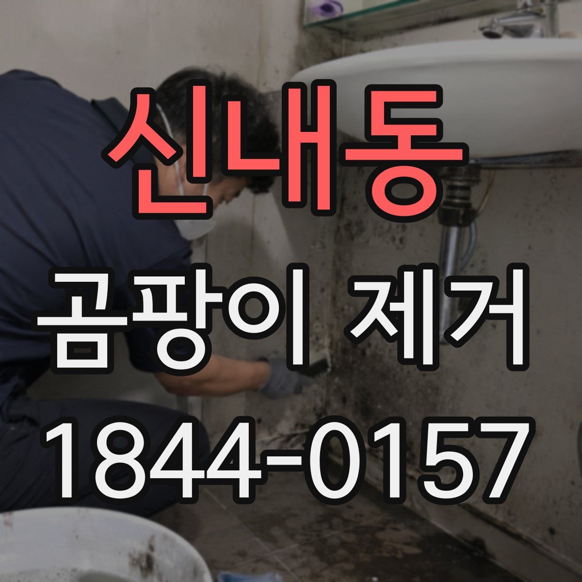 신내동 곰팡이 제거