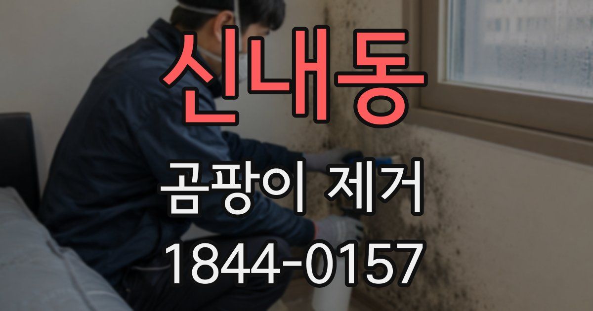 신내동 곰팡이 제거