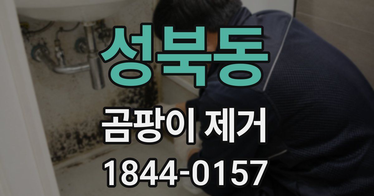 성북동 곰팡이 제거