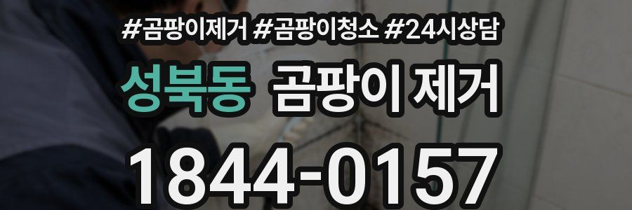 성북동 곰팡이 제거