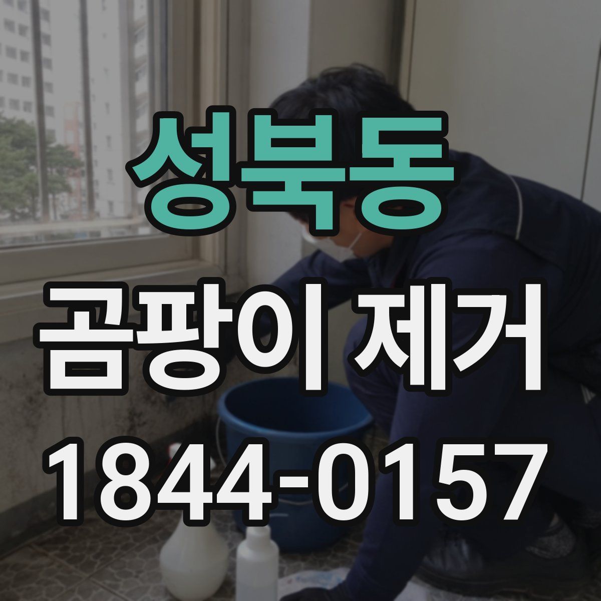 성북동 곰팡이 제거