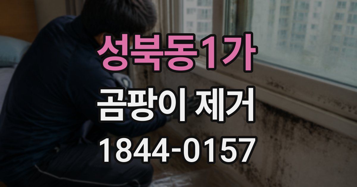 성북동1가 곰팡이 제거