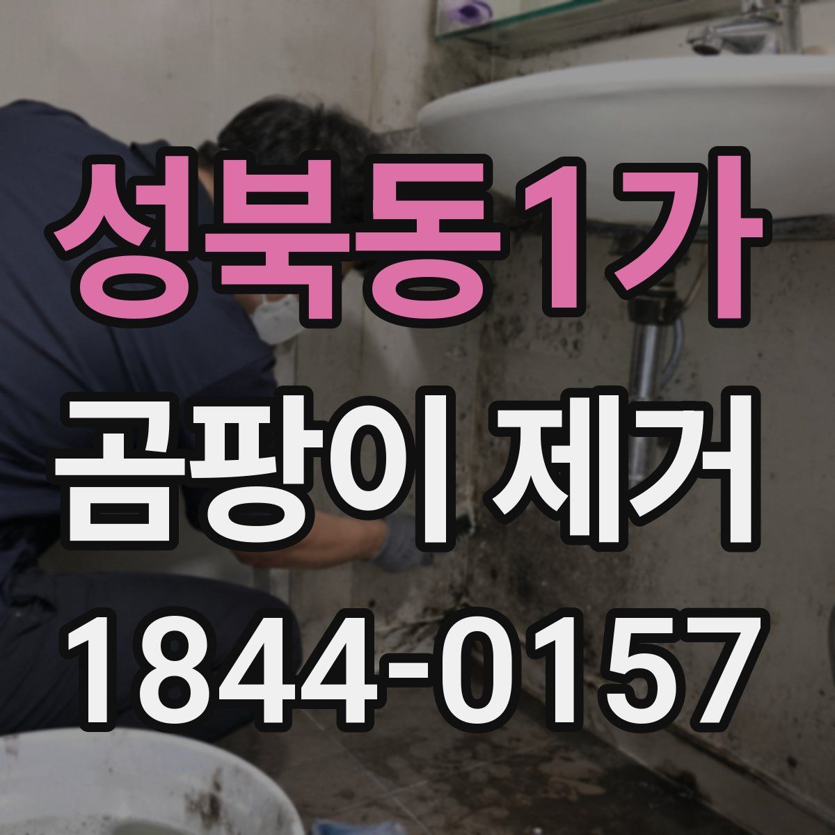 성북동1가 곰팡이 제거