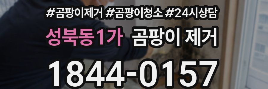 성북동1가 곰팡이 제거