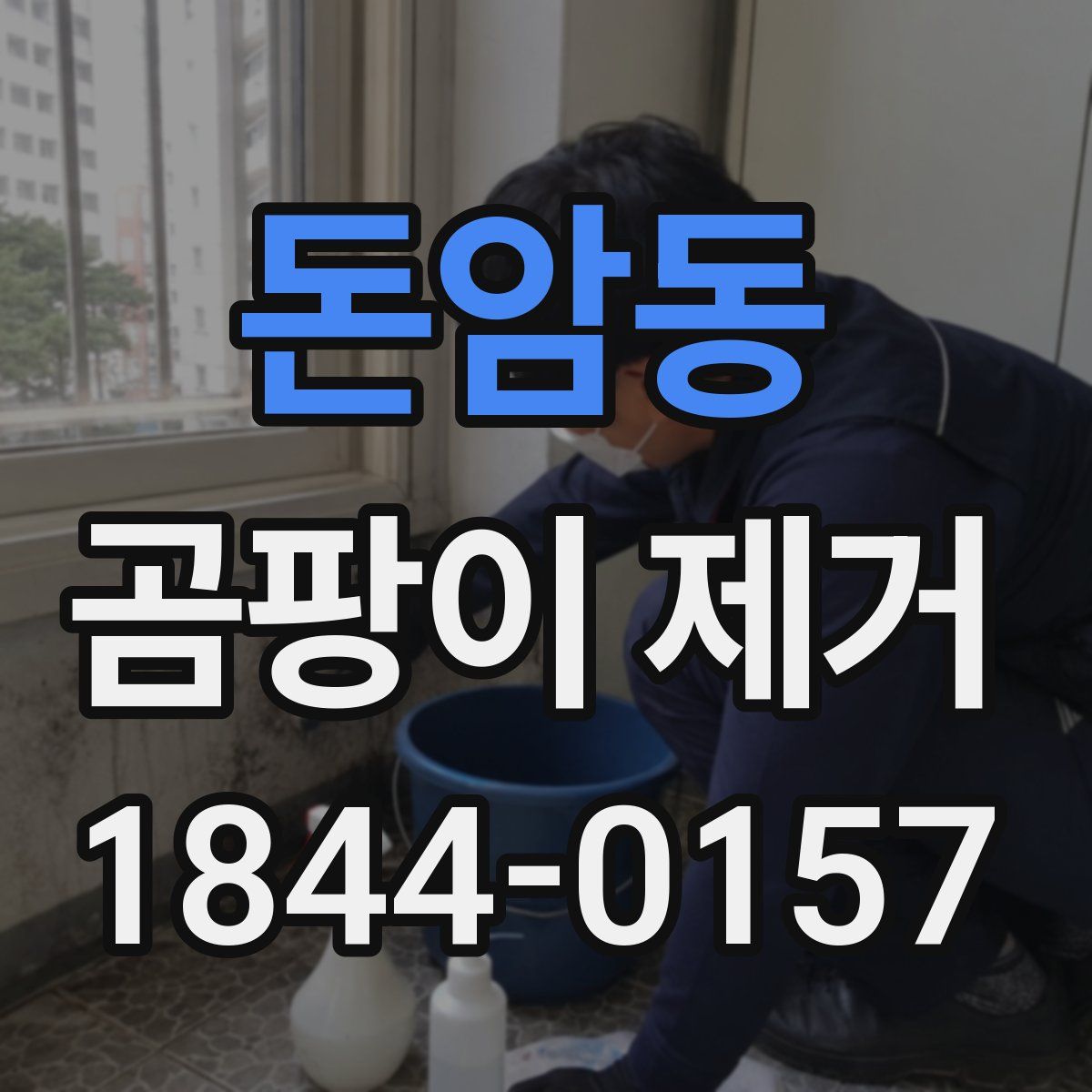 돈암동 곰팡이 제거