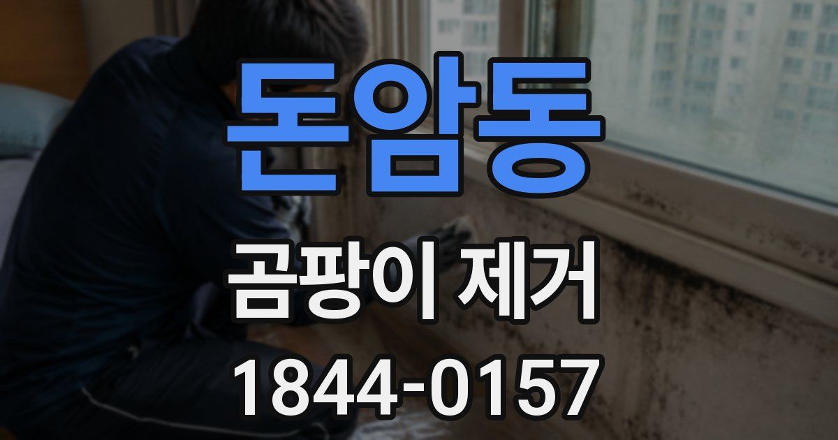 돈암동 곰팡이 제거