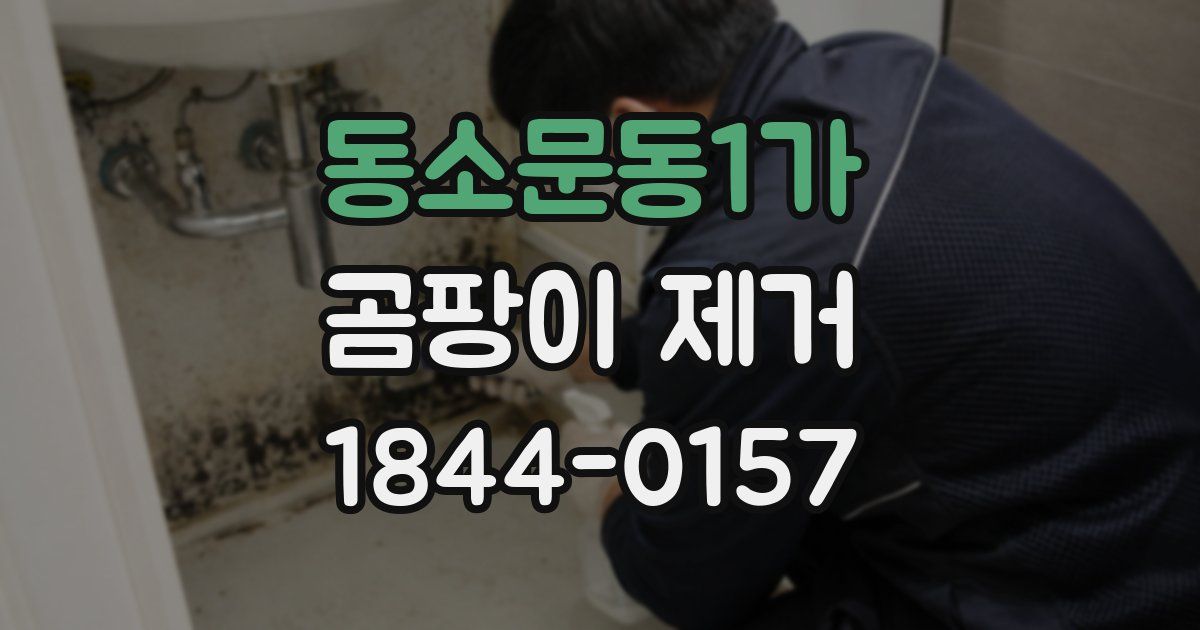 동소문동1가 곰팡이 제거