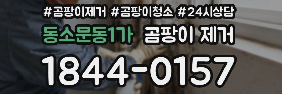 동소문동1가 곰팡이 제거