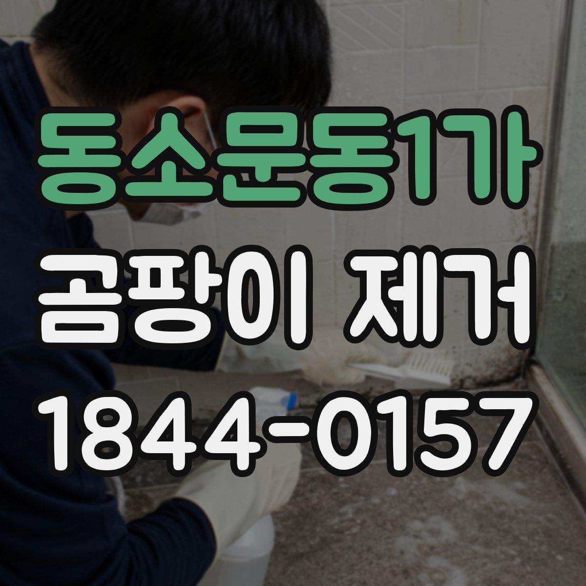 동소문동1가 곰팡이 제거