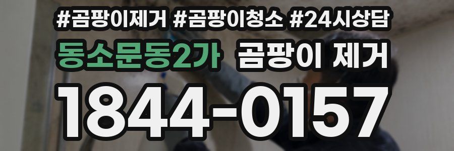 동소문동2가 곰팡이 제거